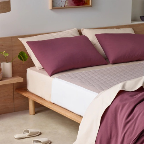 Staydry Cacao Incontinence Bundle Double
