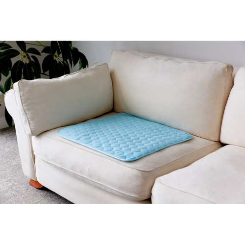 Buddies Absorb Max Chair Pad Waterproof Regular Pale Blue 60 x 60 cm 1.5L
